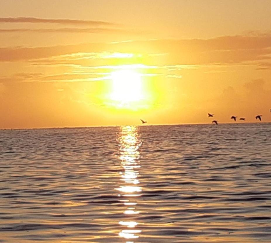 Waddenfestijn Βίλα Paesens Εξωτερικό φωτογραφία